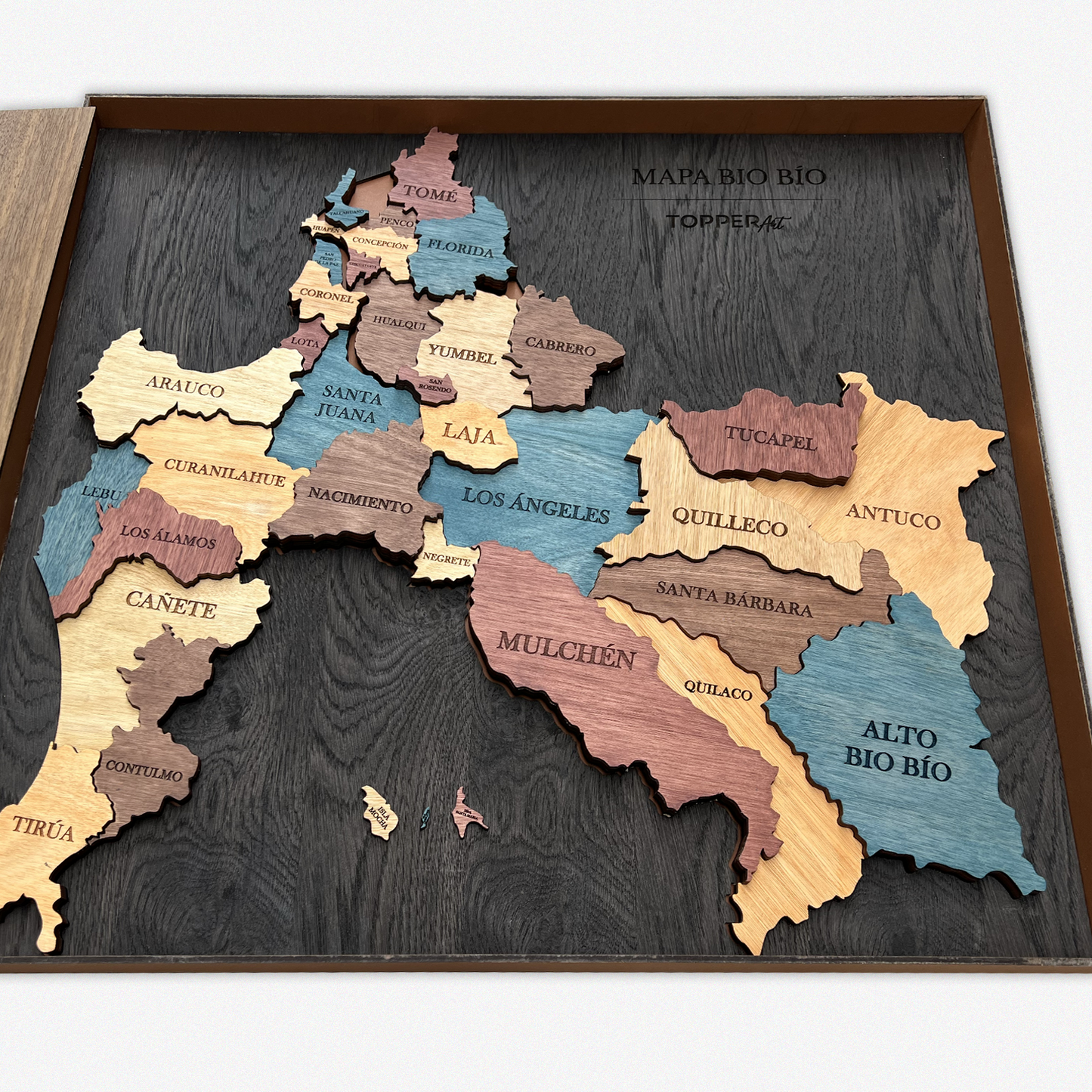 MAPA REGIÓN DEL BIO BÍO DE MADERA 3D