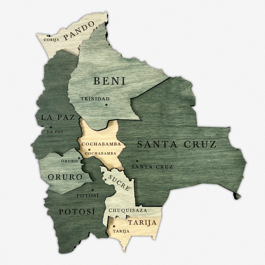 MAPA DE BOLIVIA DE MADERA 3D