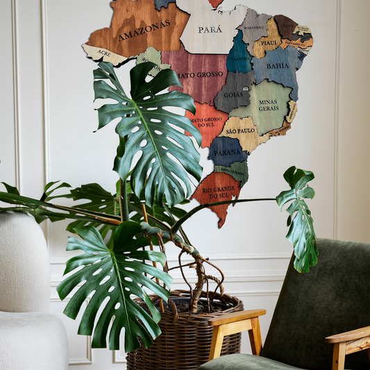 MAPA DE BRASIL DE MADERA 3D