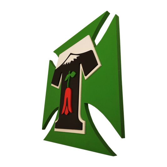 ESCUDO DEPORTES TEMUCO