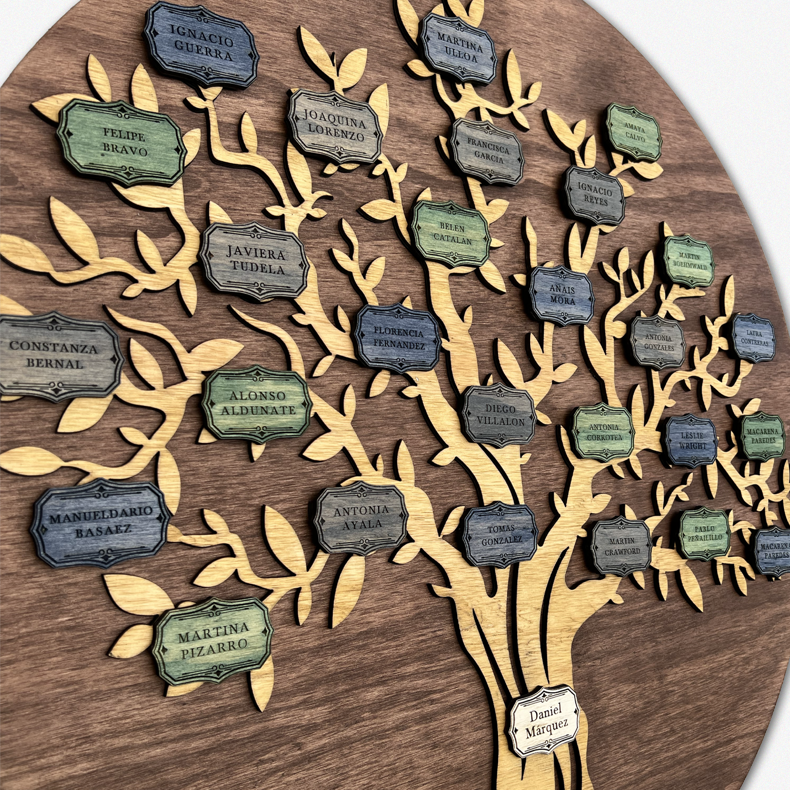 AG2 Árbol Genealógico de Madera - Imagen 2