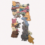Mapa Región de Los Lagos Geográfico de Madera 3D